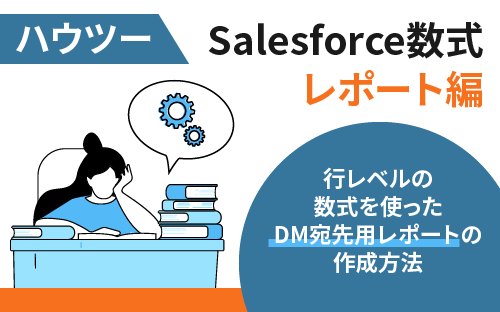 Salesforce数式 レポート編 行レベルの数式を使ったDM宛先用レポートの