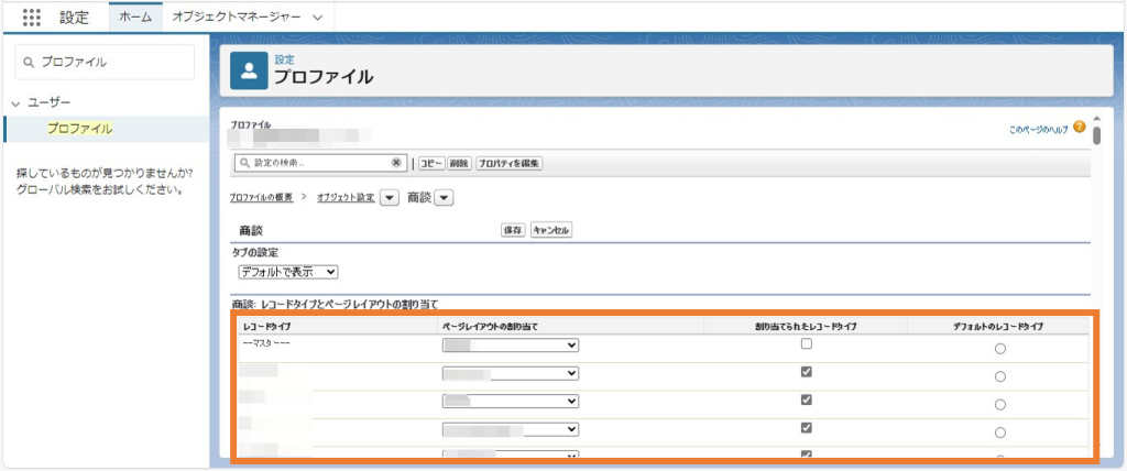 レコードタイプを設定